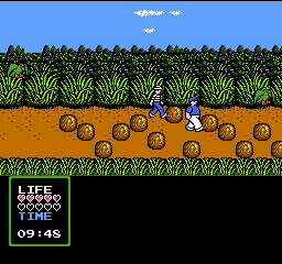 Adventures of Gilligan's Island, The (USA)